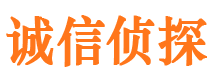 洪江市婚外情调查